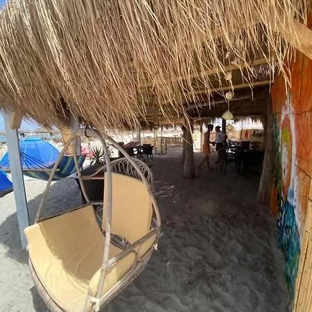 Campsite Freaky Friends Bar *